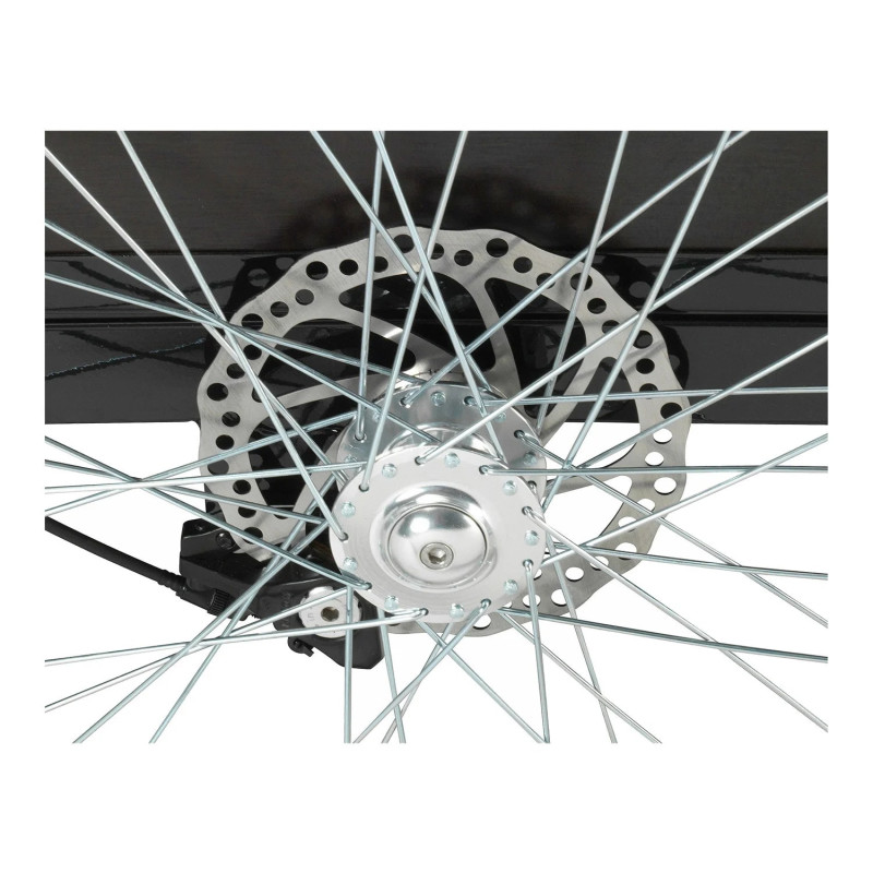 Електровелосипед триколісний вантажний GreenStreet E-Bike “E-Cargo” 24" 468Wh 250W (36V) - Зображення 3