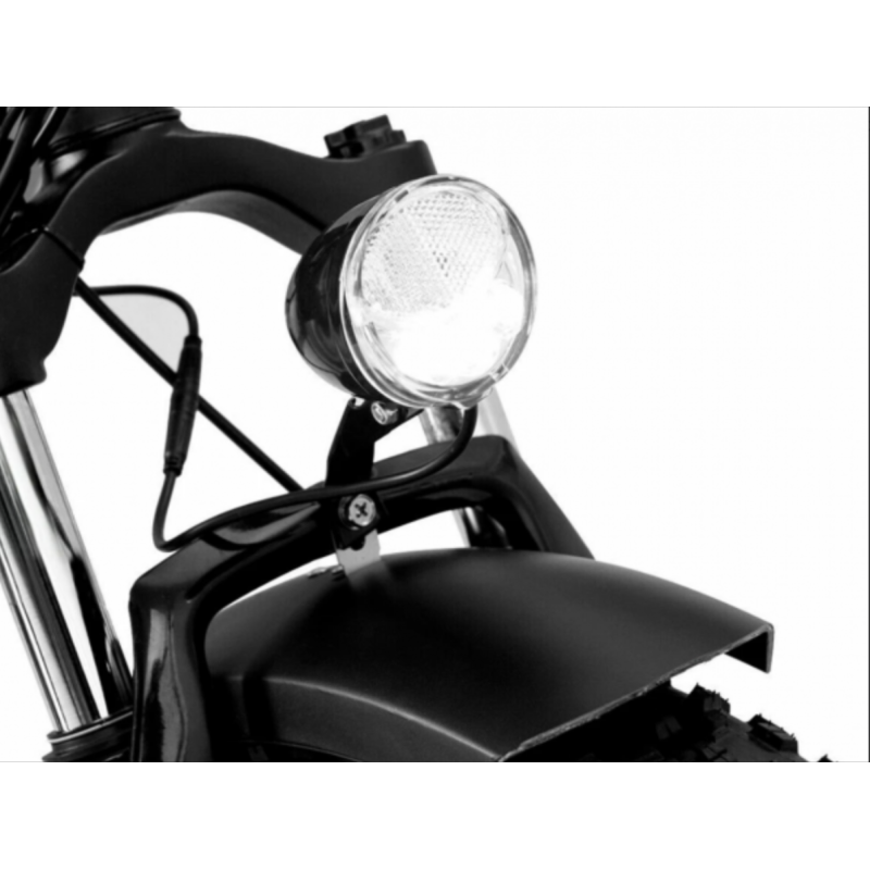 Електровелосипед триколісний Grizzly M5 700W 36V 15Ah 20" - Зображення 4