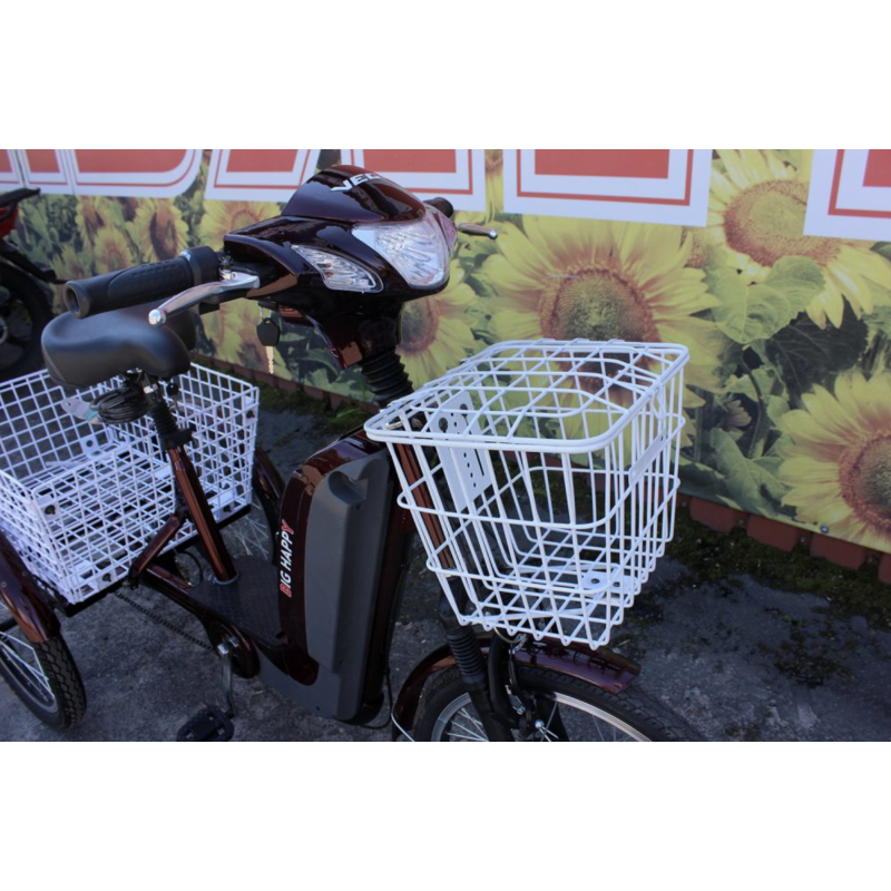 Електровелосипед триколісний SKYMOTO BIG HAPPY 350W 48V 10Ah - Зображення 2