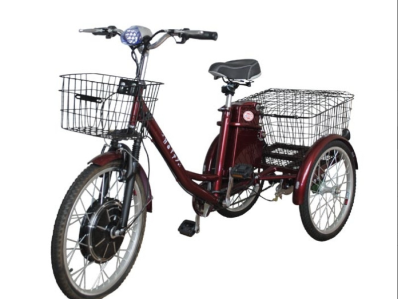 Електровелосипед триколісний SKYMOTO BIG HAPPY 350W 48V 10Ah