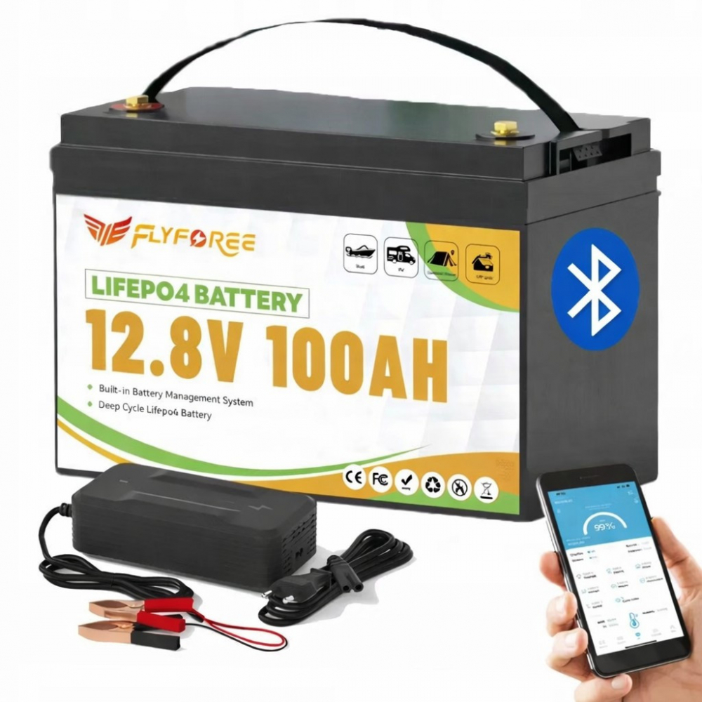 LiFePO4 100Ah 12V 1280Wh Акумулятор FLYFOREE з Bluetooth та BMS для систем резервного та автономного живлення будинку